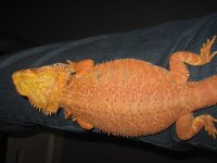 IMG_8758.JPG