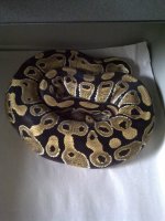 IMG-20110529-00066.jpg