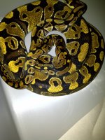 IMG-20110705-00097.jpg