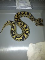 IMG-20110709-00106.jpg
