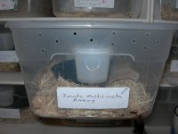husbandry_1.JPG