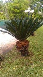 IMAG0761.jpg