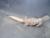 sale 022.jpg