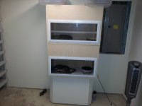 new phone pics 085.jpg