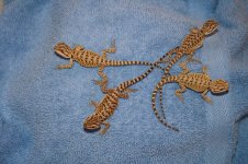 Dragons 2-18 001.jpg