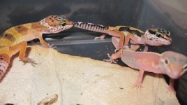 IMG_0844.jpg