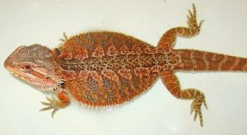 bath5.jpg
