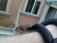 0420121856e.jpg
