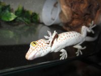 IMG_2399.jpg