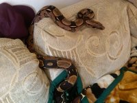 IMG01010-20111122-1038.jpg