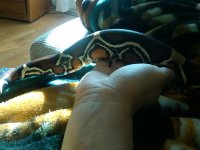 IMG01008-20111122-1036.jpg