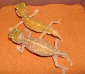 DSC03844.jpg