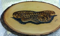 Childrens python.jpg