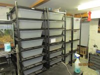 2-29-12 028.jpg