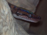 2011-12-21_10-48-30_450.jpg