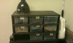 snake rack2.jpg snake rack2.jpg