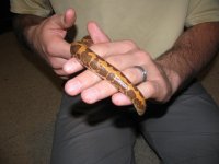 IMG_1782.jpg