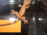 usb pics 575.jpg