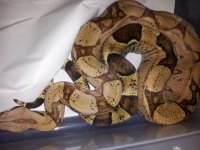 20120305_200516.jpg