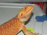 xmas 2012 091.jpg