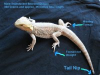 topview.jpg