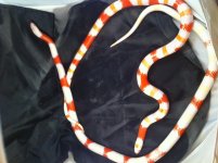4photo 4.jpg