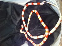 5photo 5.jpg