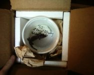 box3.jpeg