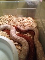 photo (13).jpg