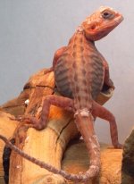 2011-12-18_11-22-19_927.jpg