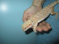 IMG_1311.jpg