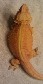 IMAG0537-1.jpg