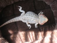 IMG_0747.jpg