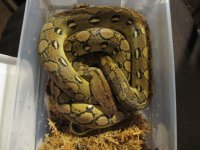 IMG_1589.JPG