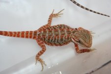 bathmane.JPG