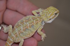 DSC_6761.jpg