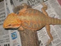 IMG_6870.JPG