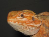 IMG_6855.JPG