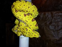 20120611_160033.jpg