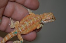 DSC_7609.jpg