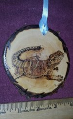 IMG_20120513_172305.jpg