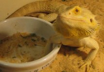 olympuswantsfood.jpg