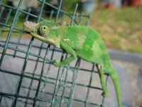 IMG_3296.jpg