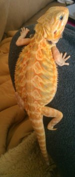 IMAG1117-1.jpg