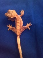 2011-12-14_21-45-06_326.jpg