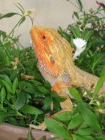 IMG_0427.jpg