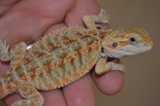DSC_6786.jpg