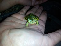 20120209_033426.jpg