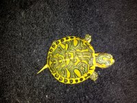20120209_123403.jpg
