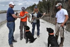 SnakeHuntingDogs.jpg